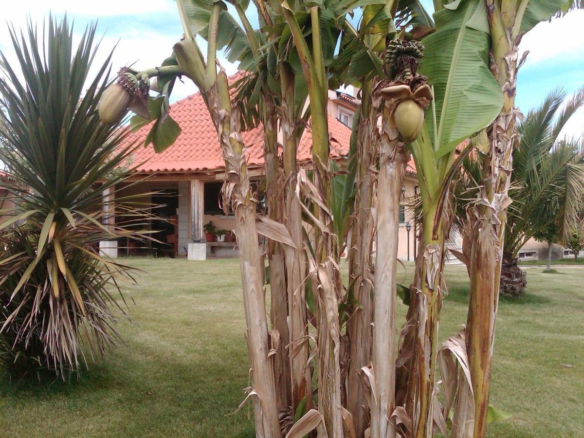 Casa Vale De Azibo Otel Macedo de Cavaleiros Dış mekan fotoğraf